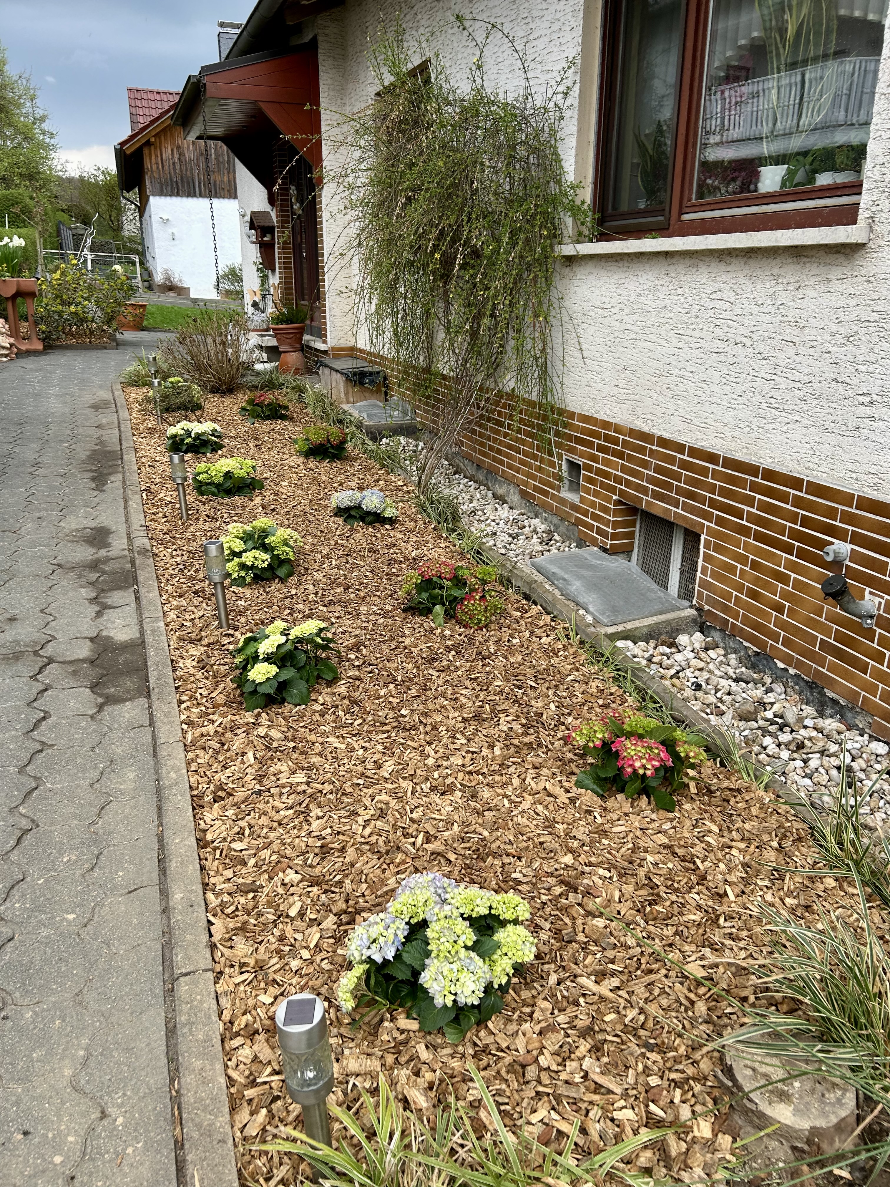 Neu angelegtes Beet mit Rindenmulch und Pflanzen