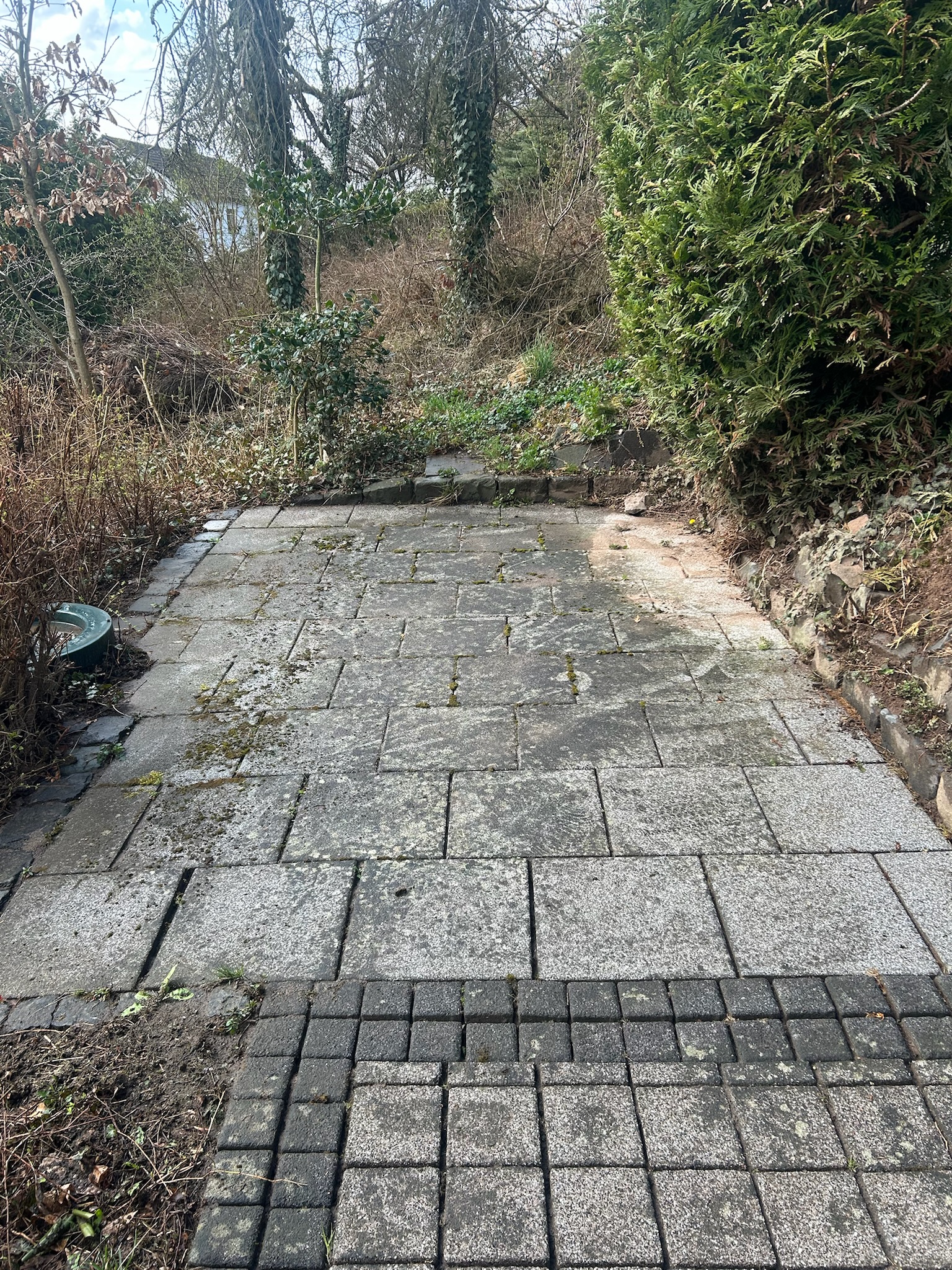 Terrasse vor der Reinigung